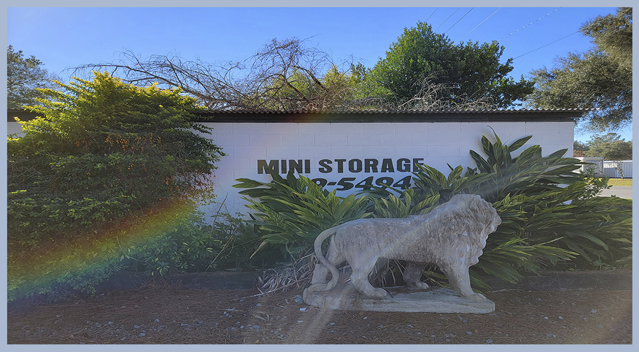 Mini storage image